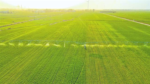 中科志康糧食安全整體解決方案層層把控，筑牢糧食安全屏障